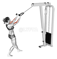 Cable Standing Biceps Curl 