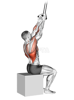 Thumbnail for the video of exercise: Band Fixed Back Close Grip Pulldown