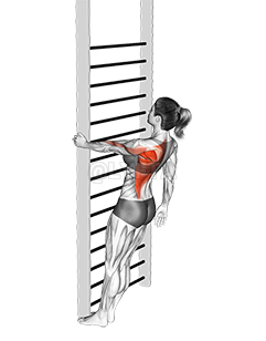 Bodyweight Standing Close-grip One Arm Row 