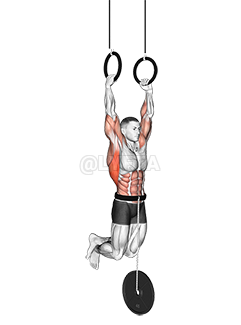 Weighted Muscle up