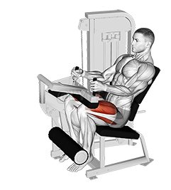Lever Seated Leg Extension 