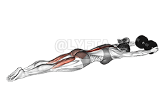 Thumbnail for the video of exercise: ଡମ୍ବୁଲ୍ ସୁପରମ୍ୟାନ୍ |