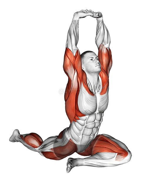 Dag Leg Tuck Hip Stretch nrog Overhead Tes demonstration