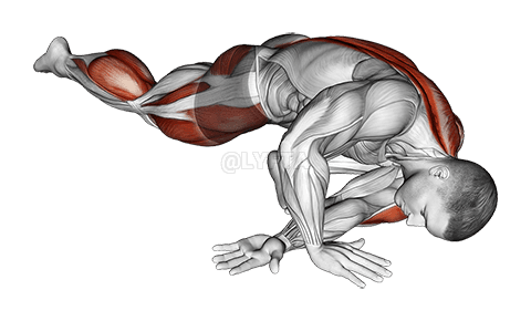 Pleev Tuck Tuck Hip Rov Qab Mus Ncaj Ncees demonstration