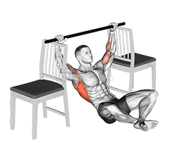 Seated Pull-up between Chairs