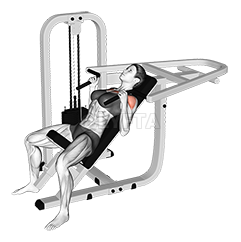 Lever Incline Hammer Chest Press 