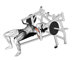Lever Lying Chest Press 