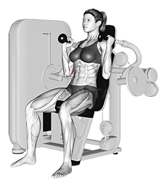 Lever Triceps Extension 