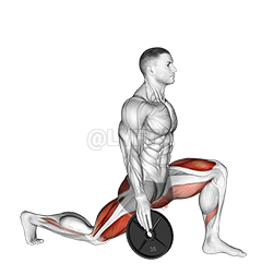Weighted Stretch Lunge