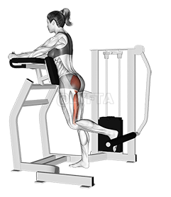 Lever Standing Hip Extension 