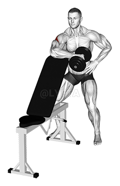 Dumbbell Bench Supported External Rotation
