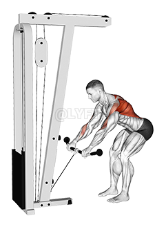 Cable Bent Over Row