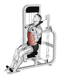 Thumbnail for the video of exercise: Lever Seated Full Crunch