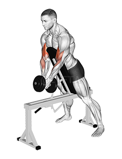 Dumbbell Single Spider Curl with Chest Support