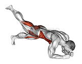 Leg Lift to Chest Front Plank demonstration
