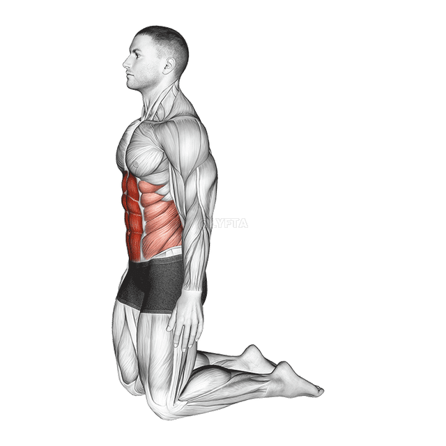 Estiramiento abdominal hacia atrás demonstration
