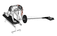 Thumbnail for the video of exercise: ल्यान्डमाइन वन आर्म बेन्ट-ओभर बेन्च रो