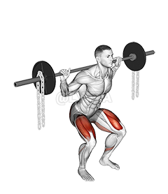 Barbell Squat with Chains