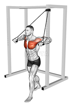 Band Low Chest Press