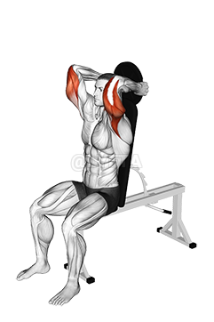 Extensie ponderată a tricepsului așezat