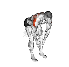 Bodyweight Bent Over Rear Delt Fly