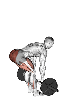 Puolitankonauhallinen romanialainen maastaveto demonstration