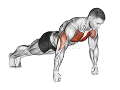 Knuckle Push-Up