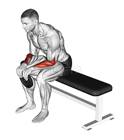Weighted Seated Reverse Wrist Curl
