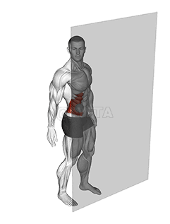 Roll Ball External Oblique demonstration