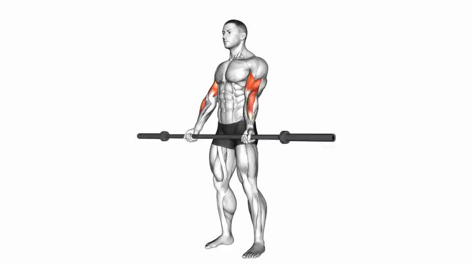 Image of Barbell Curl