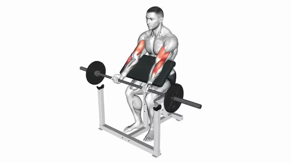 Image of Barbell Preacher Curl