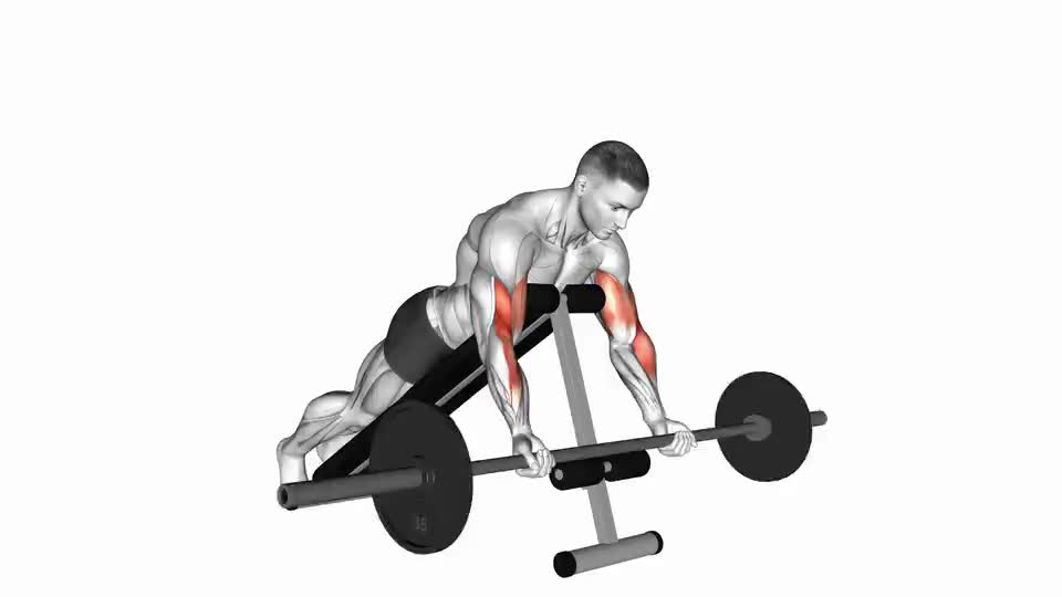 Image of Barbell Prone Incline Curl