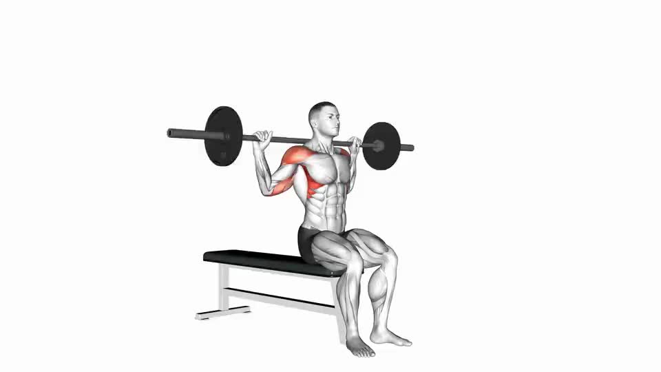 Image of Barbell Seated Behind Head Military Press