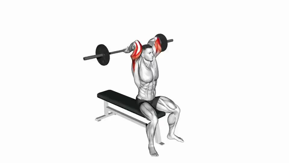 Image of Barbell Seated Overhead Triceps Extension
