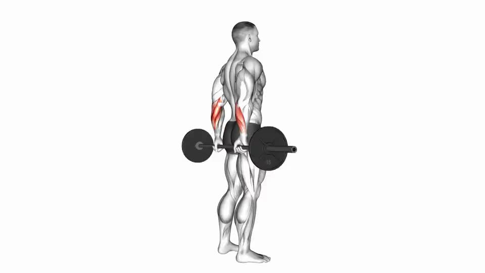 Image of Barbell Standing Back Wrist Curl