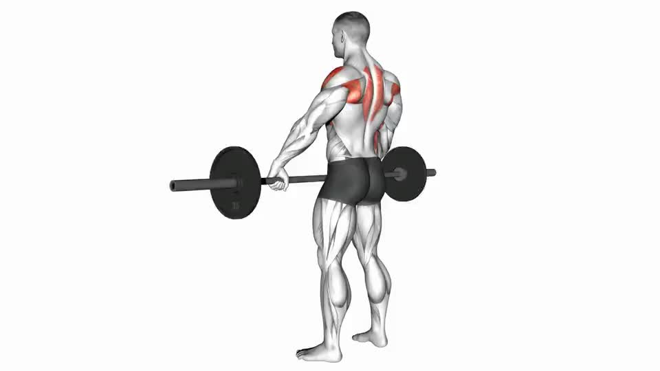 Image of Barbell Wide-grip Upright Row