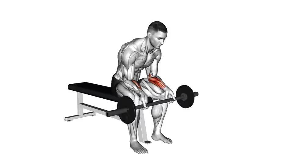 Image of Barbell Wrist Curl 