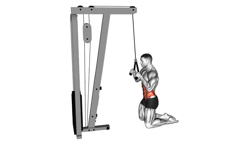 Image of Cable Kneeling Crunch