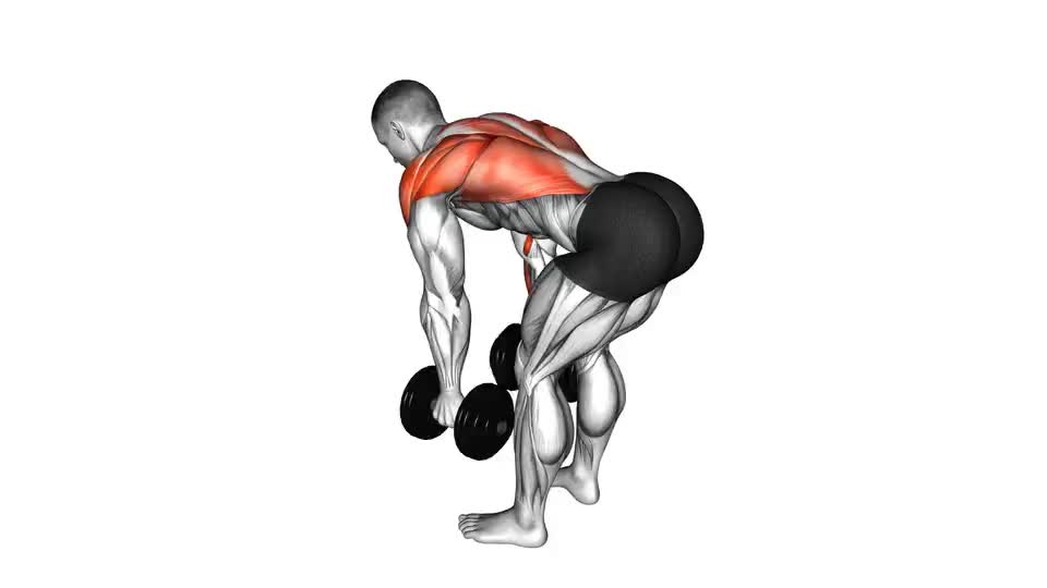 Image of Dumbbell Bent Over Row