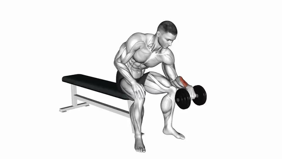 Image of Dumbbell One arm Revers Wrist Curl