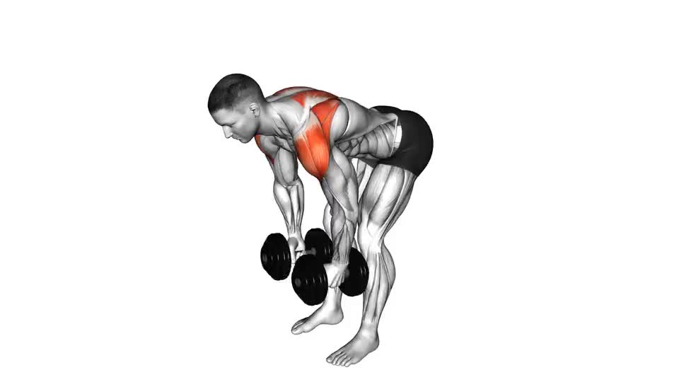 Image of Rear Lateral Raise
