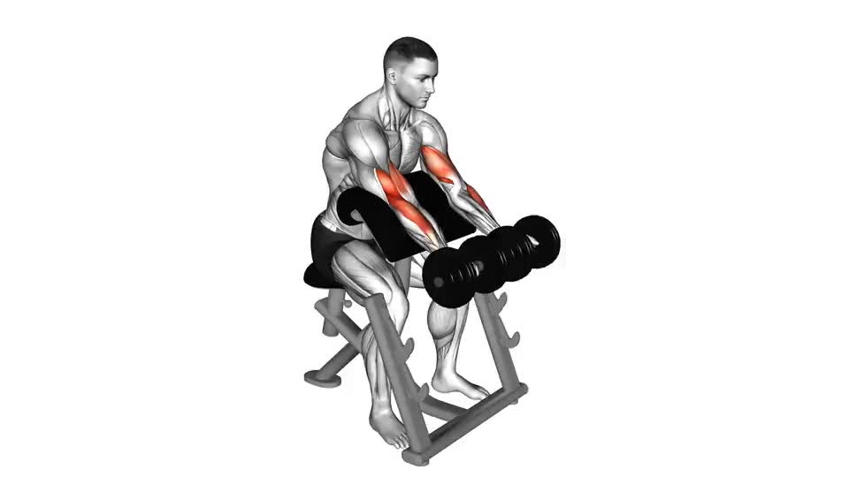 Image of Dumbbell Seated Preacher Curl