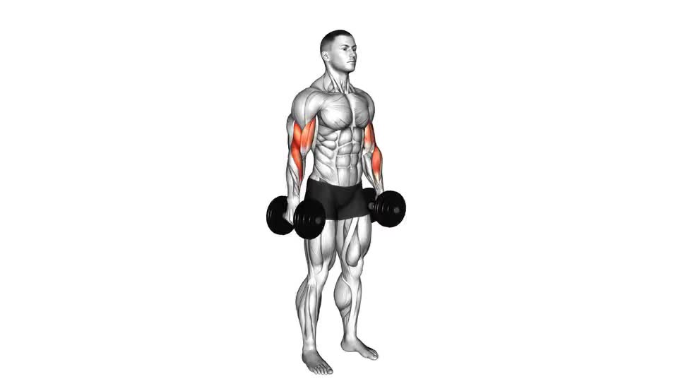 Image of Standing Biceps Curl