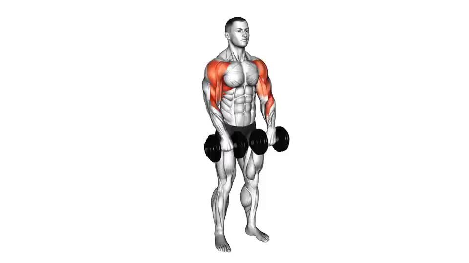 Dumbbell Upright Row: Video Exercise Guide & Tips