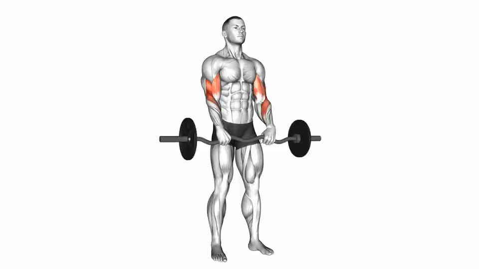 Image of EZ Barbell Reverse Grip Curl