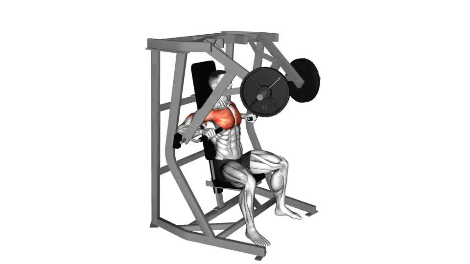 Image of Lever Chest Press