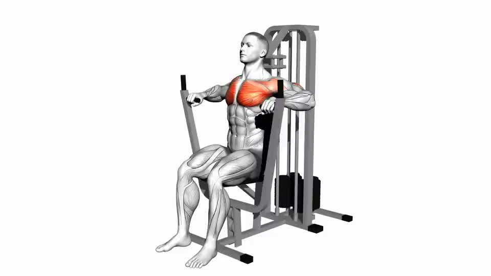 Image of Lever Chest Press