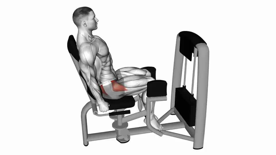 Image of Lever Seated Hip Abduction