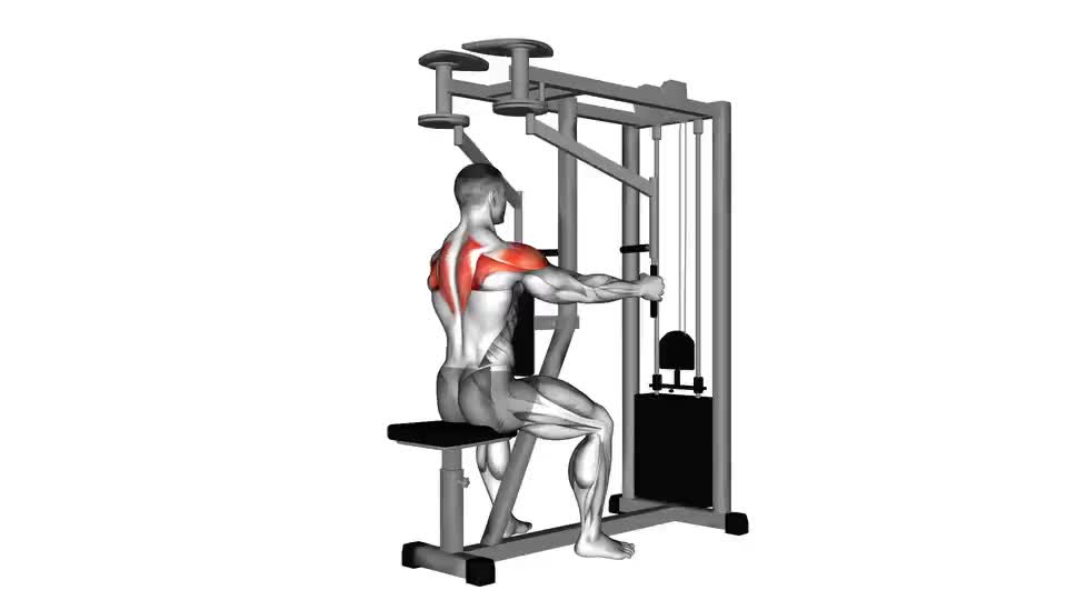 Image of Lever Seated Reverse Fly