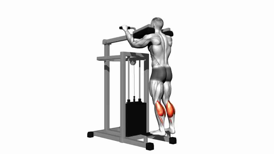 Image of Lever Standing Calf Raise